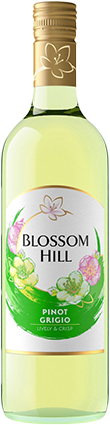 Findlater Wine Blossom Hill Pinot Grigio