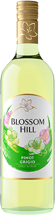 Findlater Wine Blossom Hill Pinot Grigio