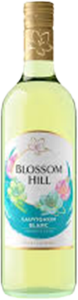 Findlater Wine Blossom Hill Sauv Blanc