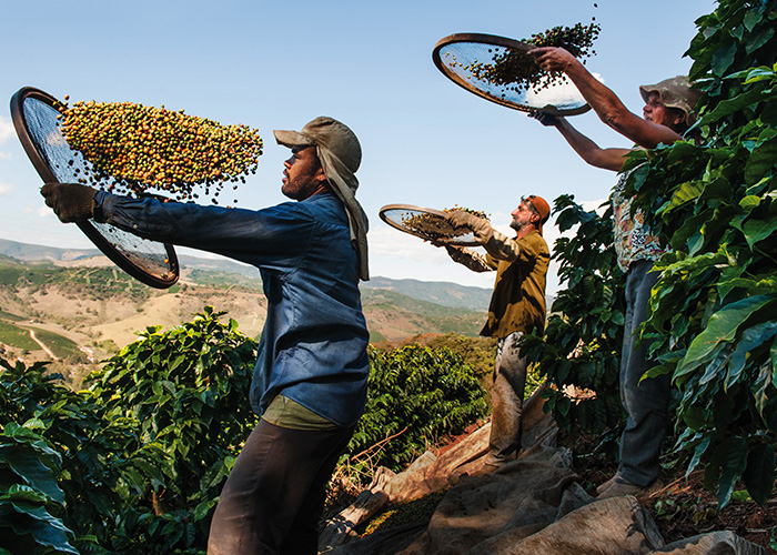 lavazza coffee workers