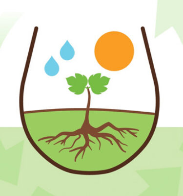 Sustainability Wine Report