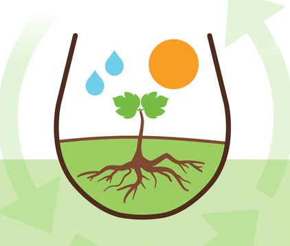 Sustainability Wine Report